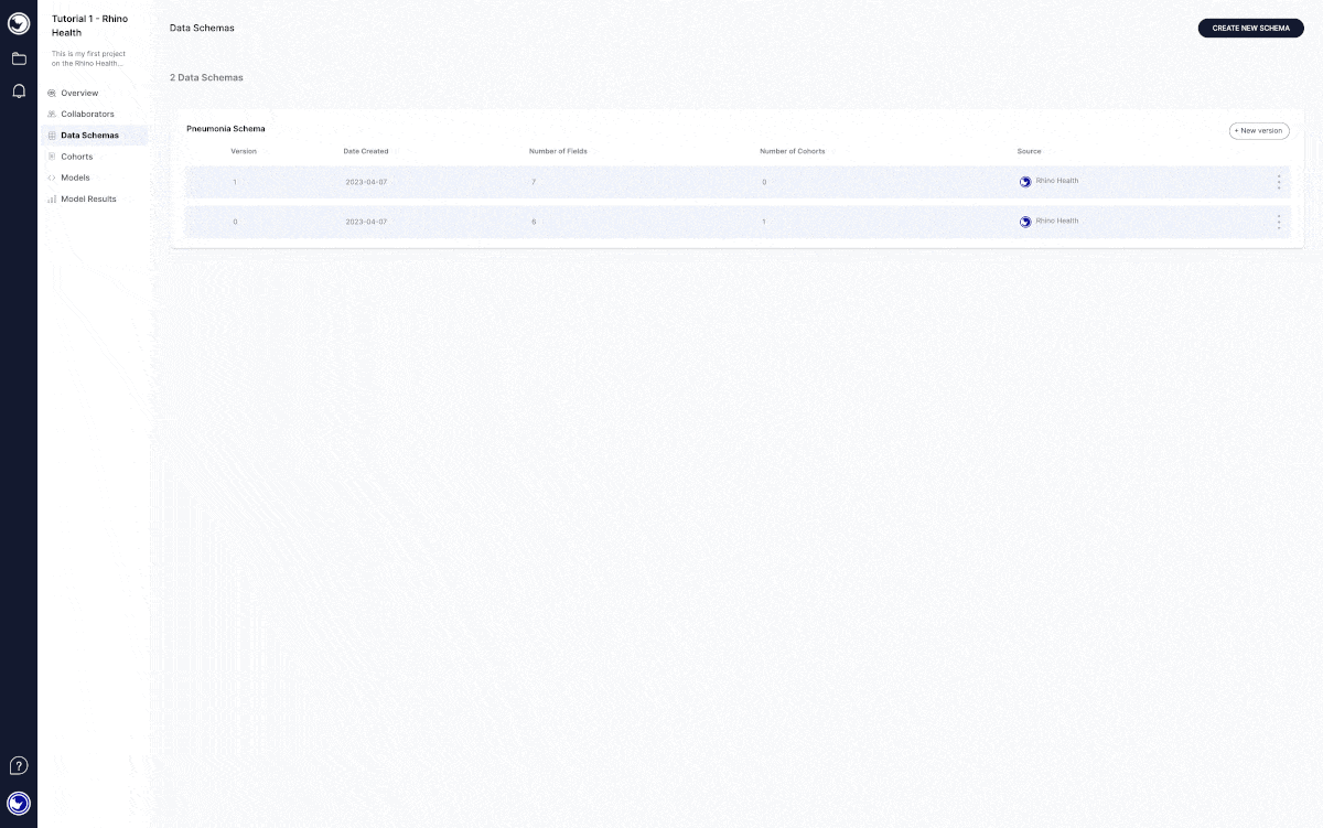 Creating a new Python Code Object – Rhino Health