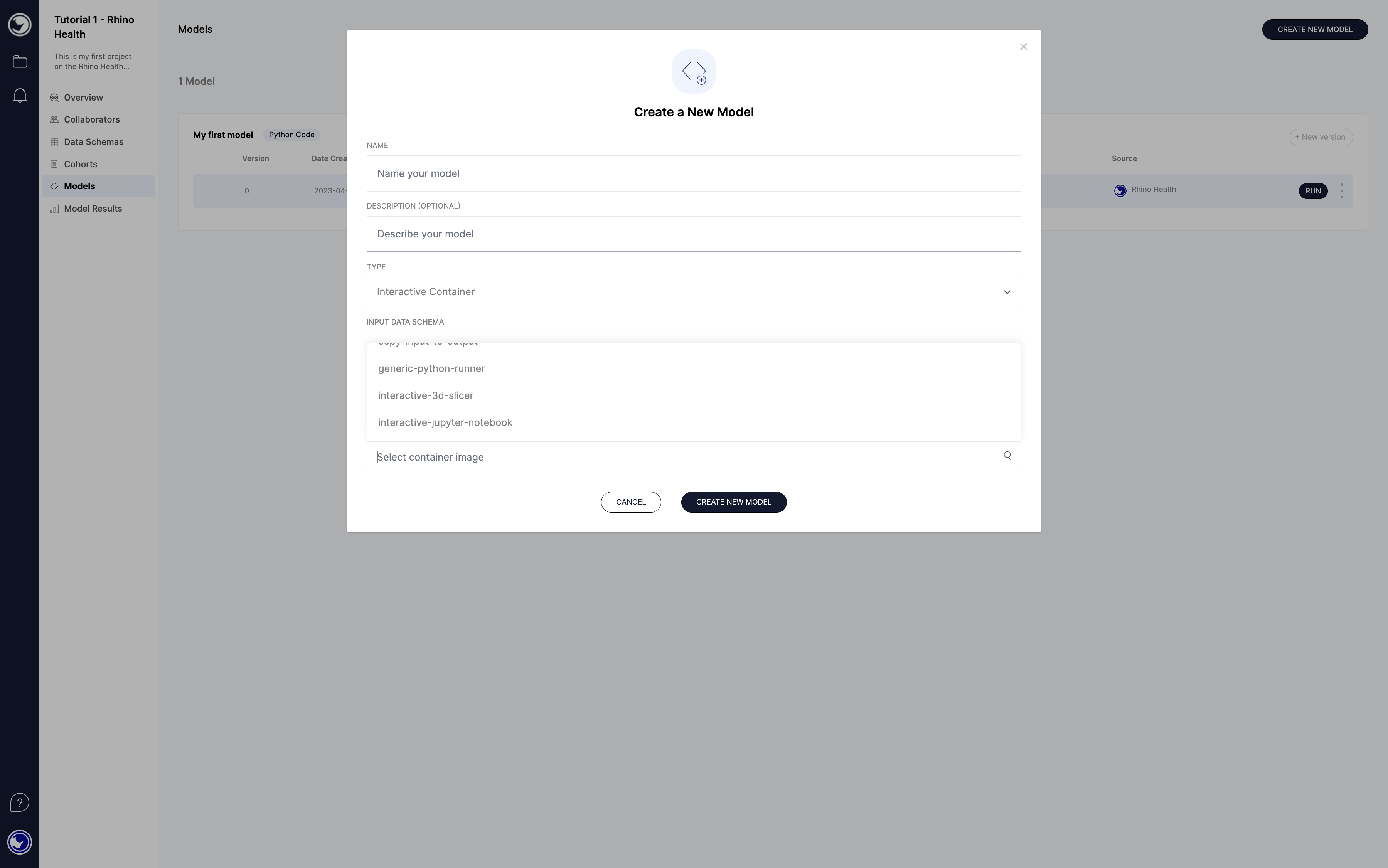Create a Model-Interactive Container-ECR Images.png